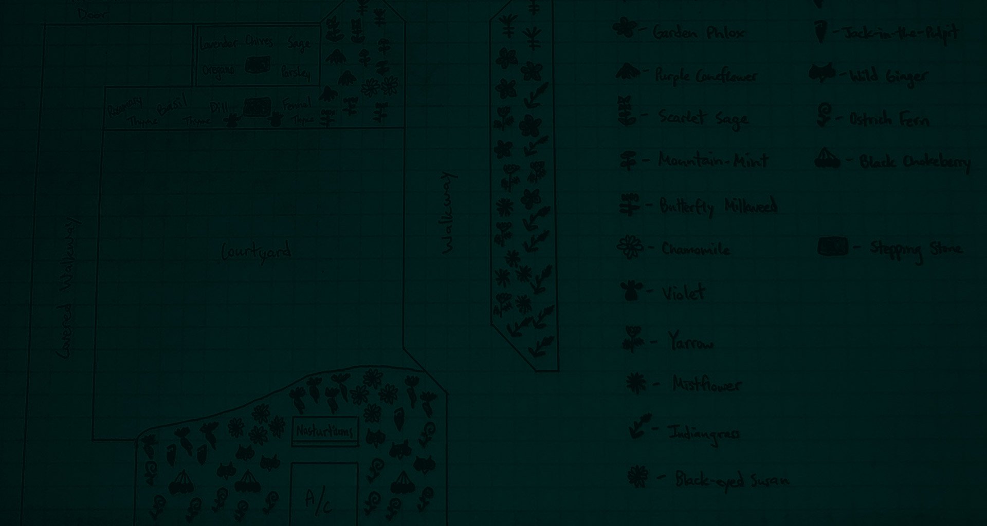Landscape Design Drawing