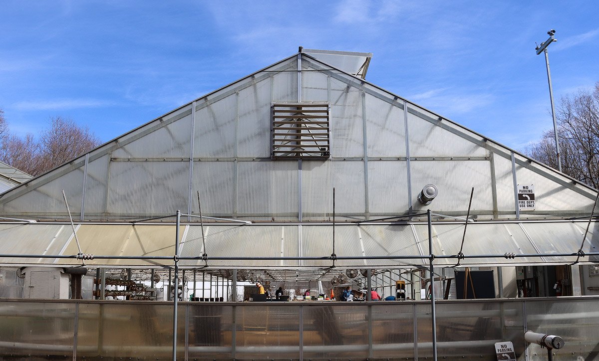 Diakon Greenhouse